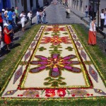 flower carpet