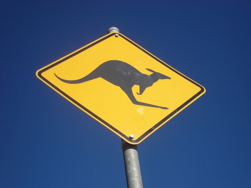 kangaroo-sign-1417913-1280x960