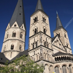 Münster image
